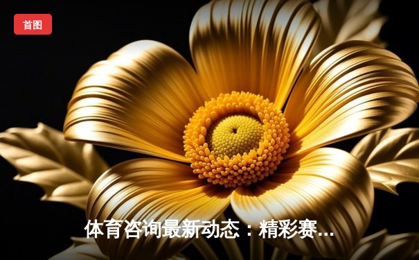 体育咨询最新动态：精彩赛事回顾